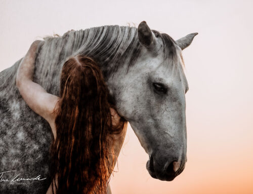 Aktshooting mit Pferd: Sophie & Loba
