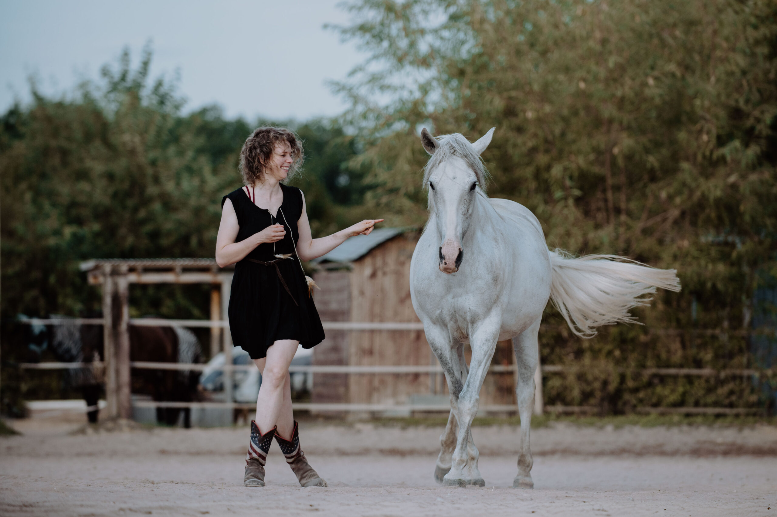 Frau mit weißem Pferd in freier Bodenarbeit Frau in schwarzem Kleid mit weißem Pferd auf einem Reitplatz in freier Bodenarbeit