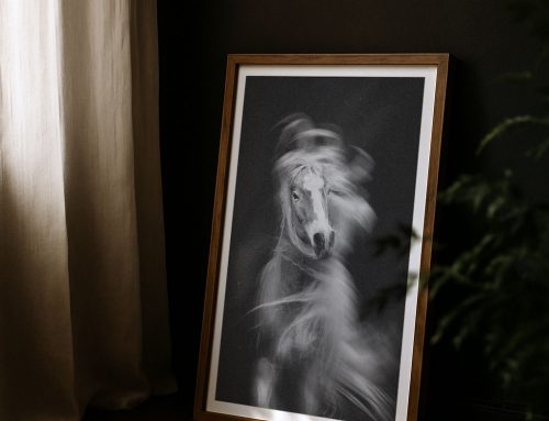 Welches Bild passt wirklich an deine Wand?