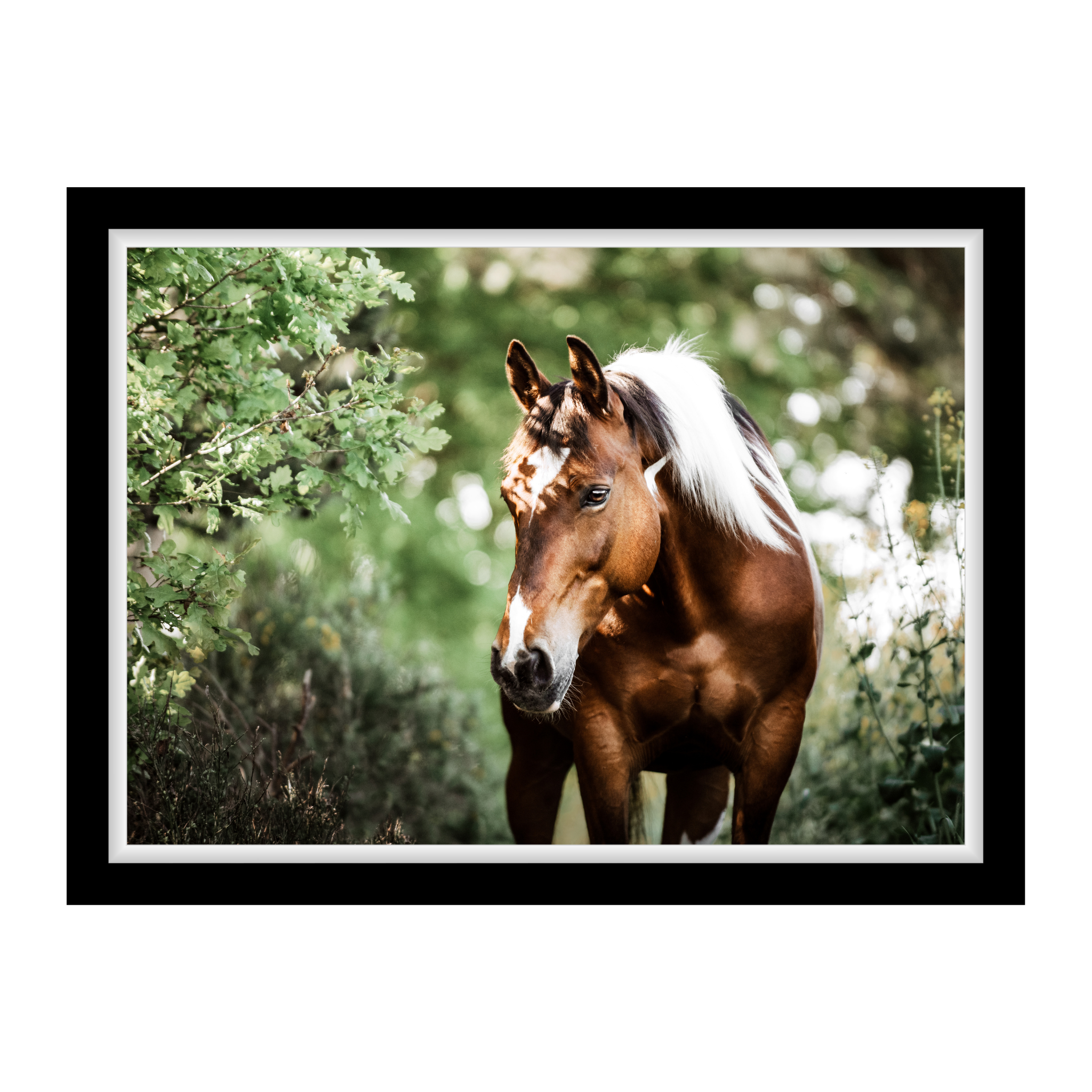 A brown horse with a white mane stands in the shade of green trees. Soft light falls on its coat. The scene appears calm, powerful, and summery.