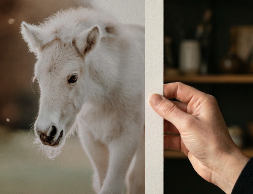 Warum ein Fine Art Print mehr kostet als ein Poster