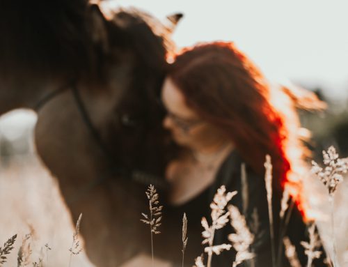 Von Umwegen und zweiten Chancen: Chiara & Gandalf